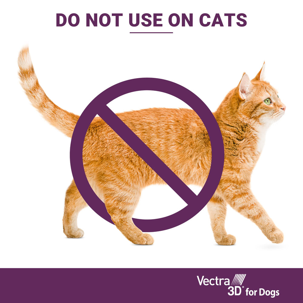 Vectra 3D usage quotidien simple pour routine animale.