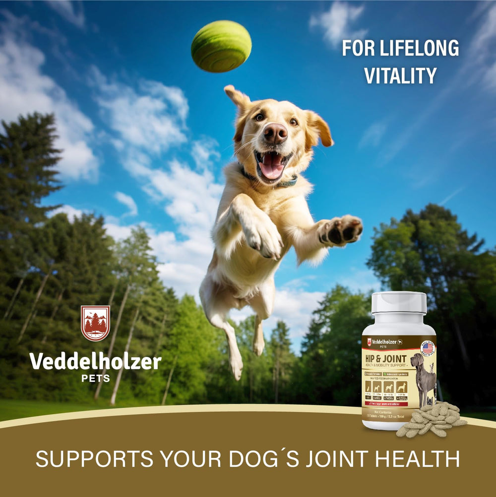 Veddelholzer tablettes articulation chien, aide potentielle pour une activité soutenue.