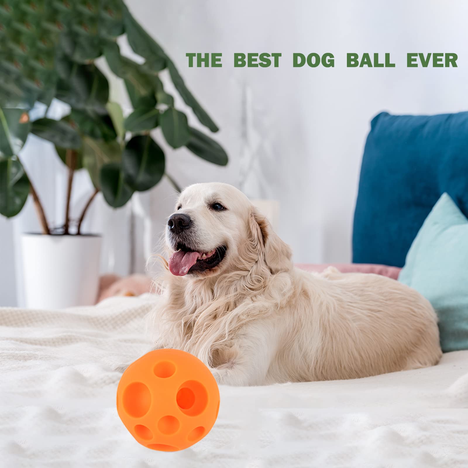 Cadeau parfait pour chien actif : Evan, jouet distributeur de friandises