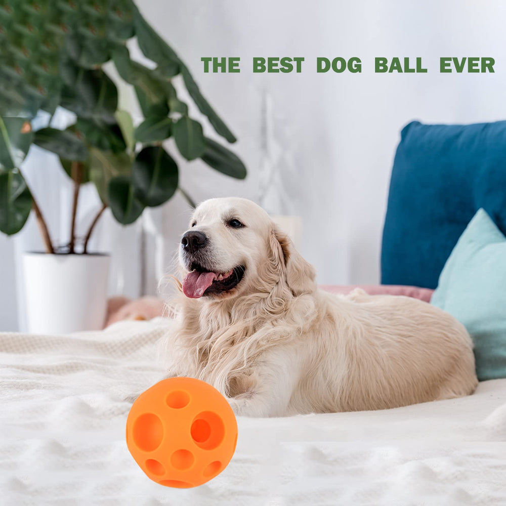 Cadeau parfait pour chien actif : Evan, jouet distributeur de friandises