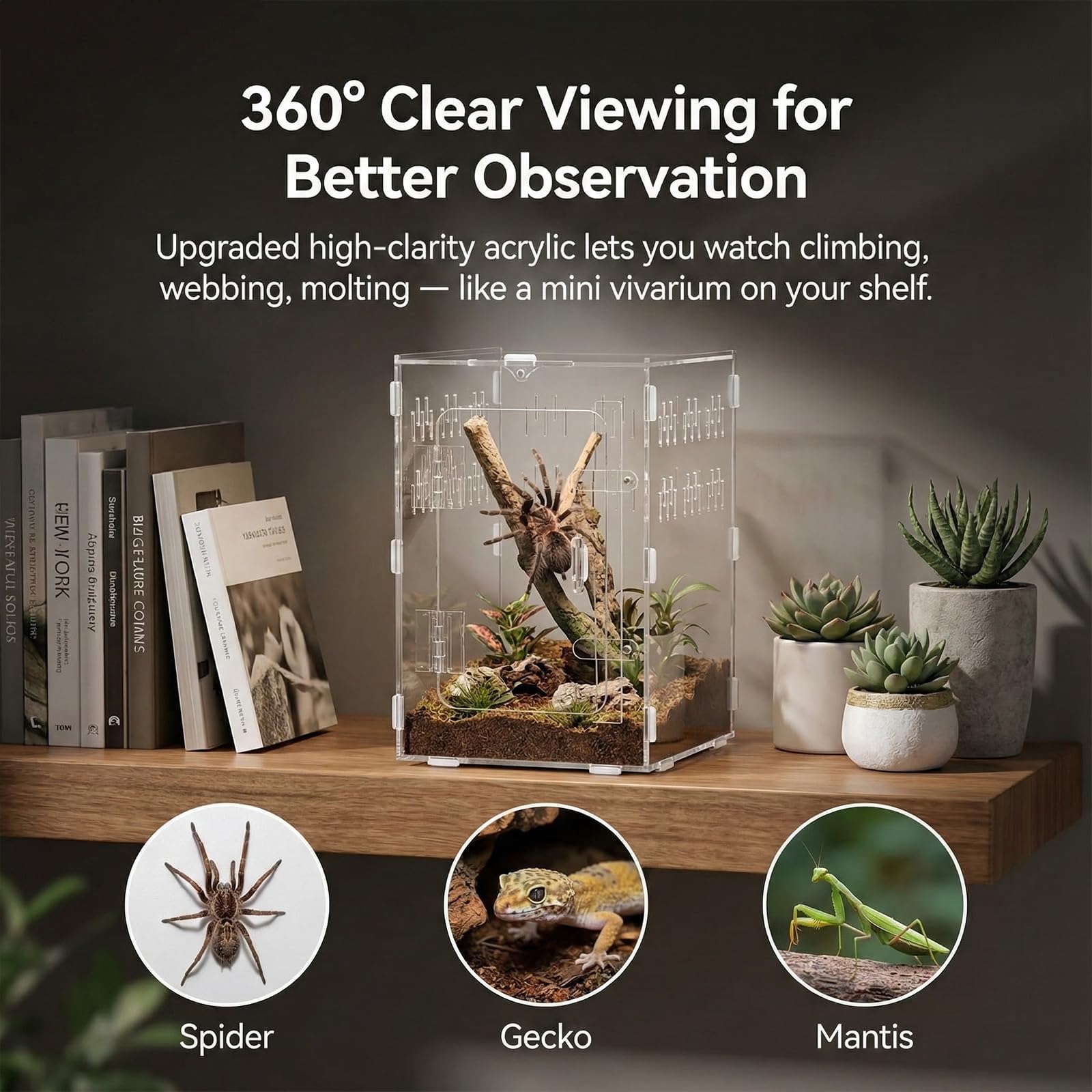Veectgoo Enclos Tarantula avec portes magnétiques pour accéder sans déranger.