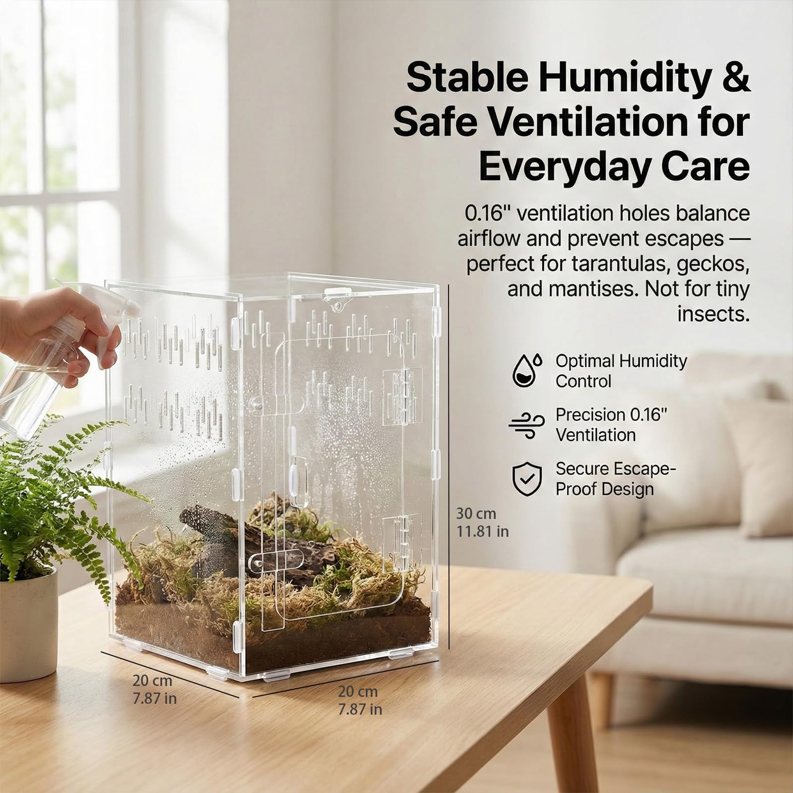 Veectgoo Enclos Tarantula avec ventilation sur tous les côtés pour habitat bien aéré.