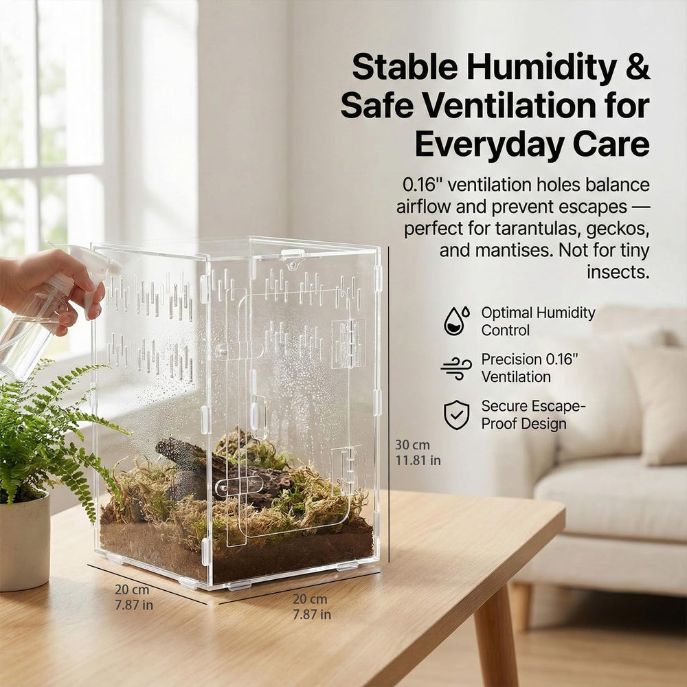 Veectgoo Enclos Tarantula avec ventilation sur tous les côtés pour habitat bien aéré.