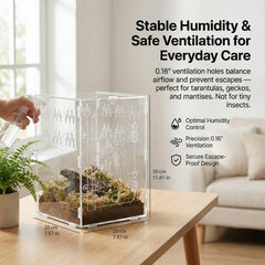 Veectgoo Enclos Tarantula avec ventilation sur tous les côtés pour habitat bien aéré.