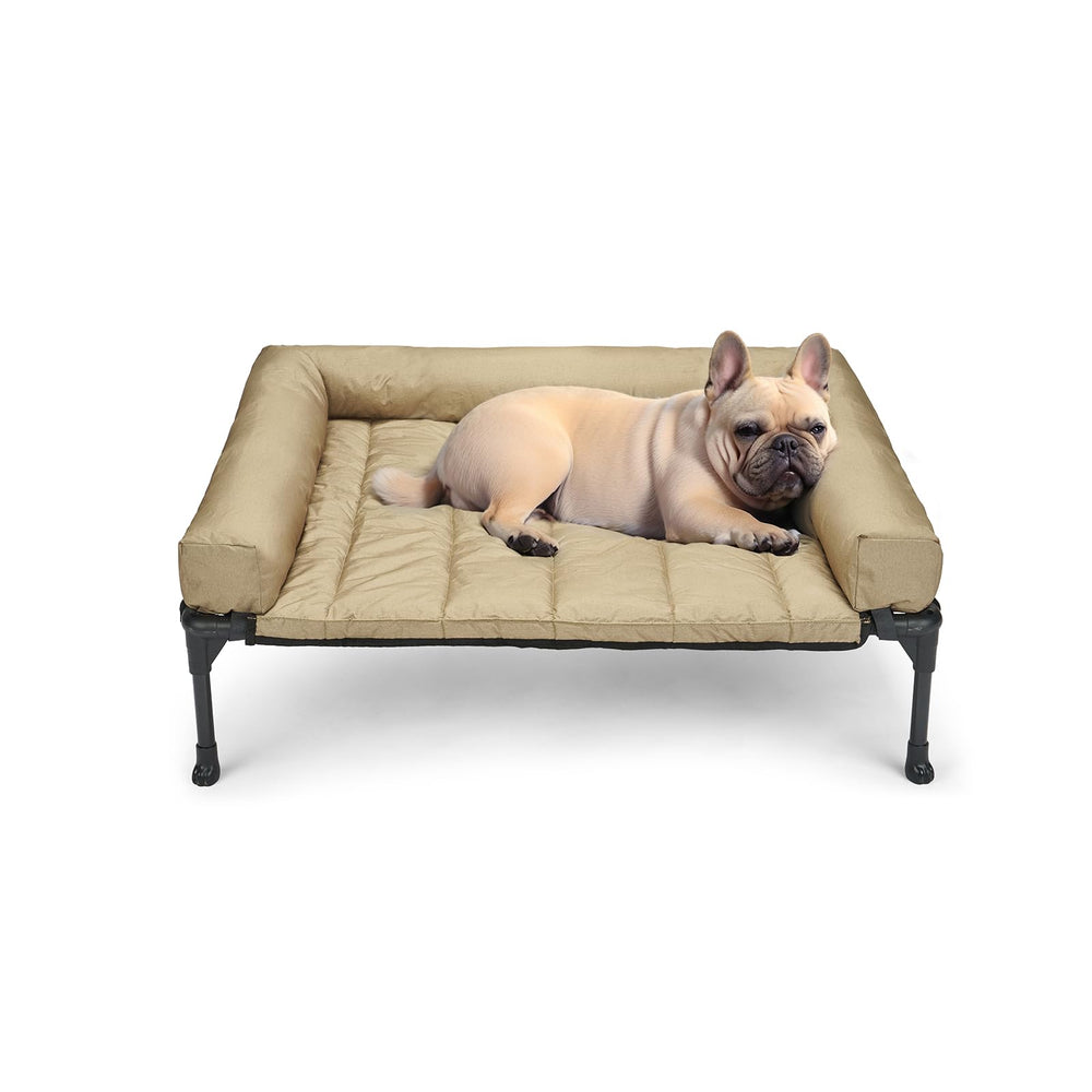 Lit surélevé Veehoo, cadre robuste et soutien pour chiens jusqu'à 50 kg.