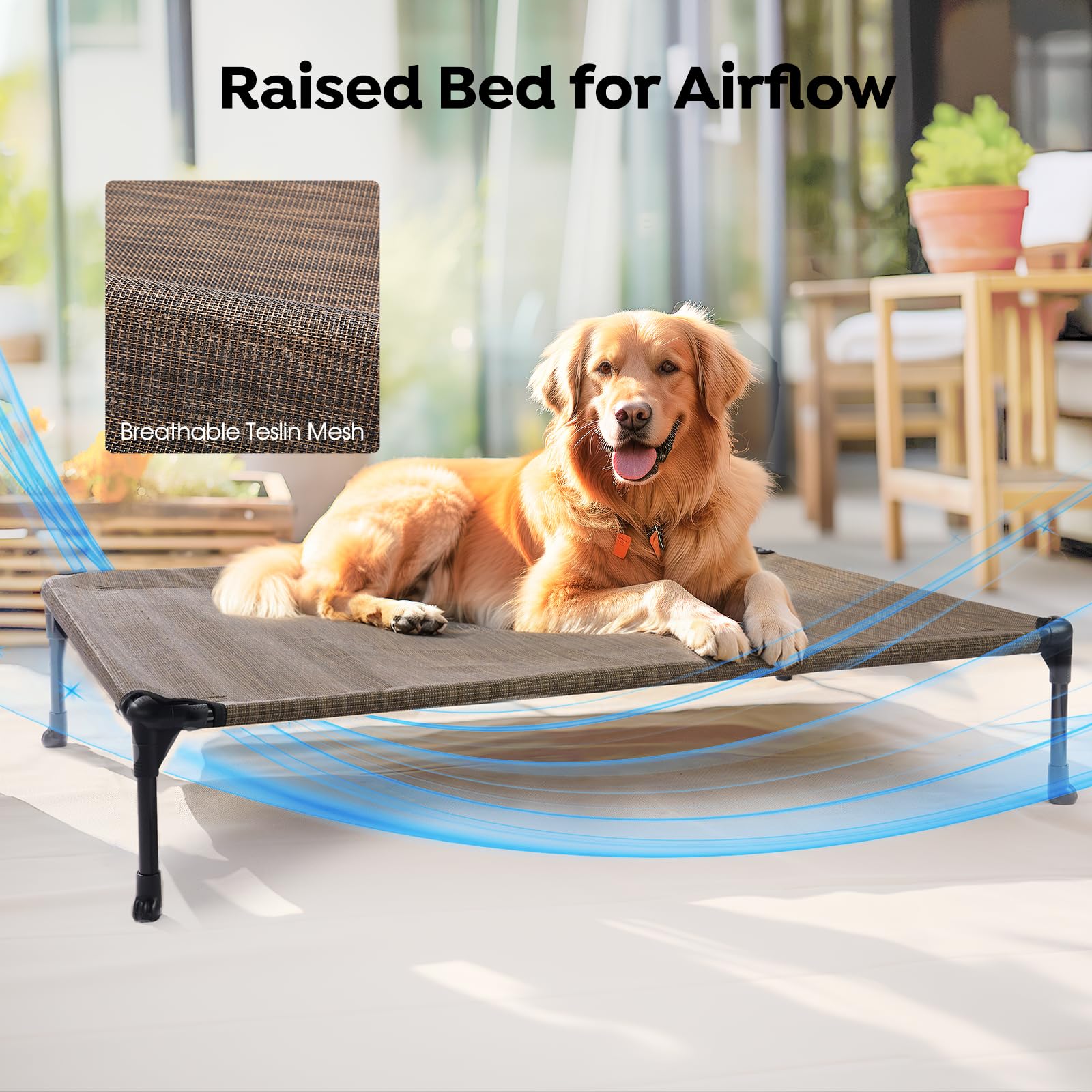 Veehoo lit chien elevé assemblage sans outils: installation rapide