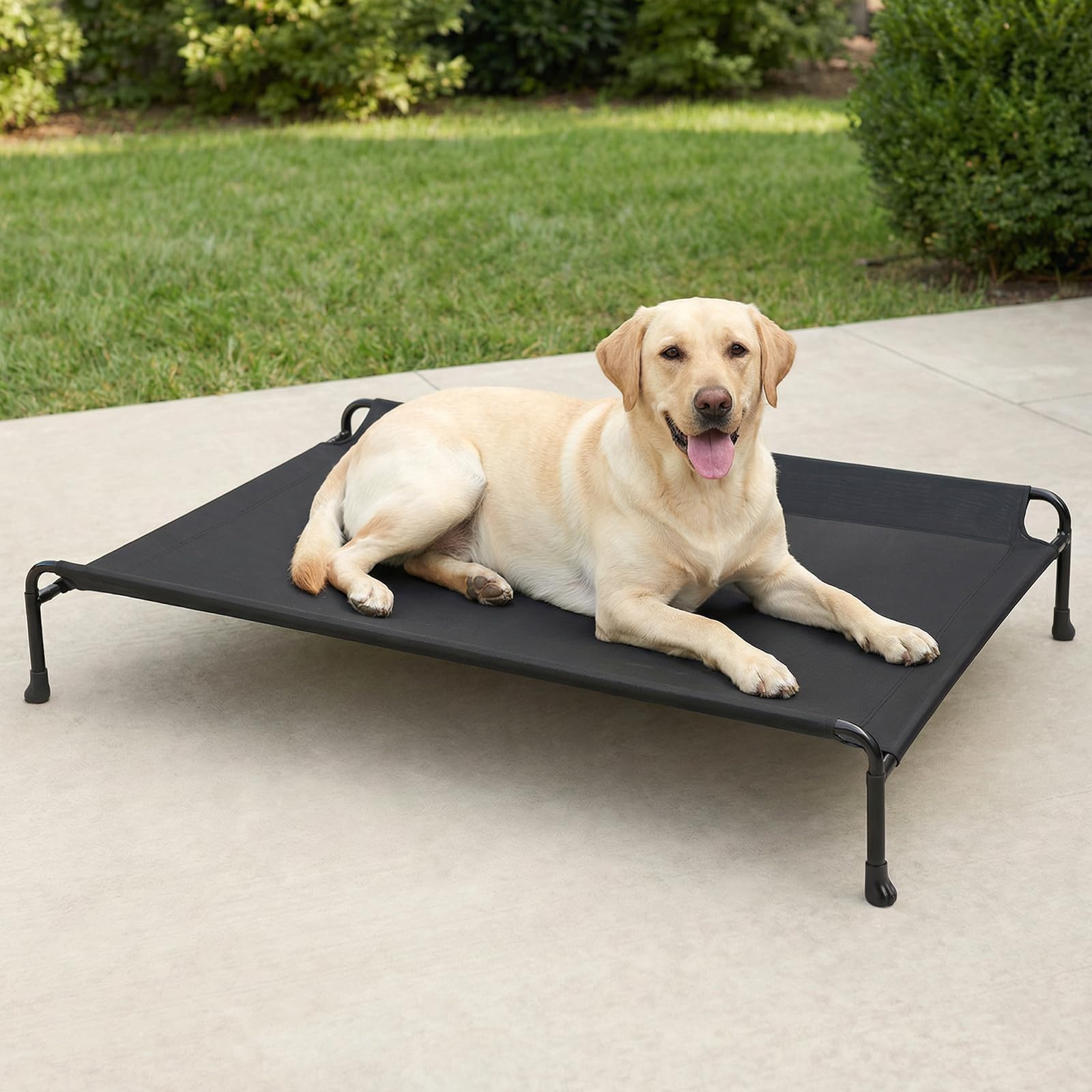 Lit pour chien Veehoo surélevé avec dossier de soutien pour le repos.
