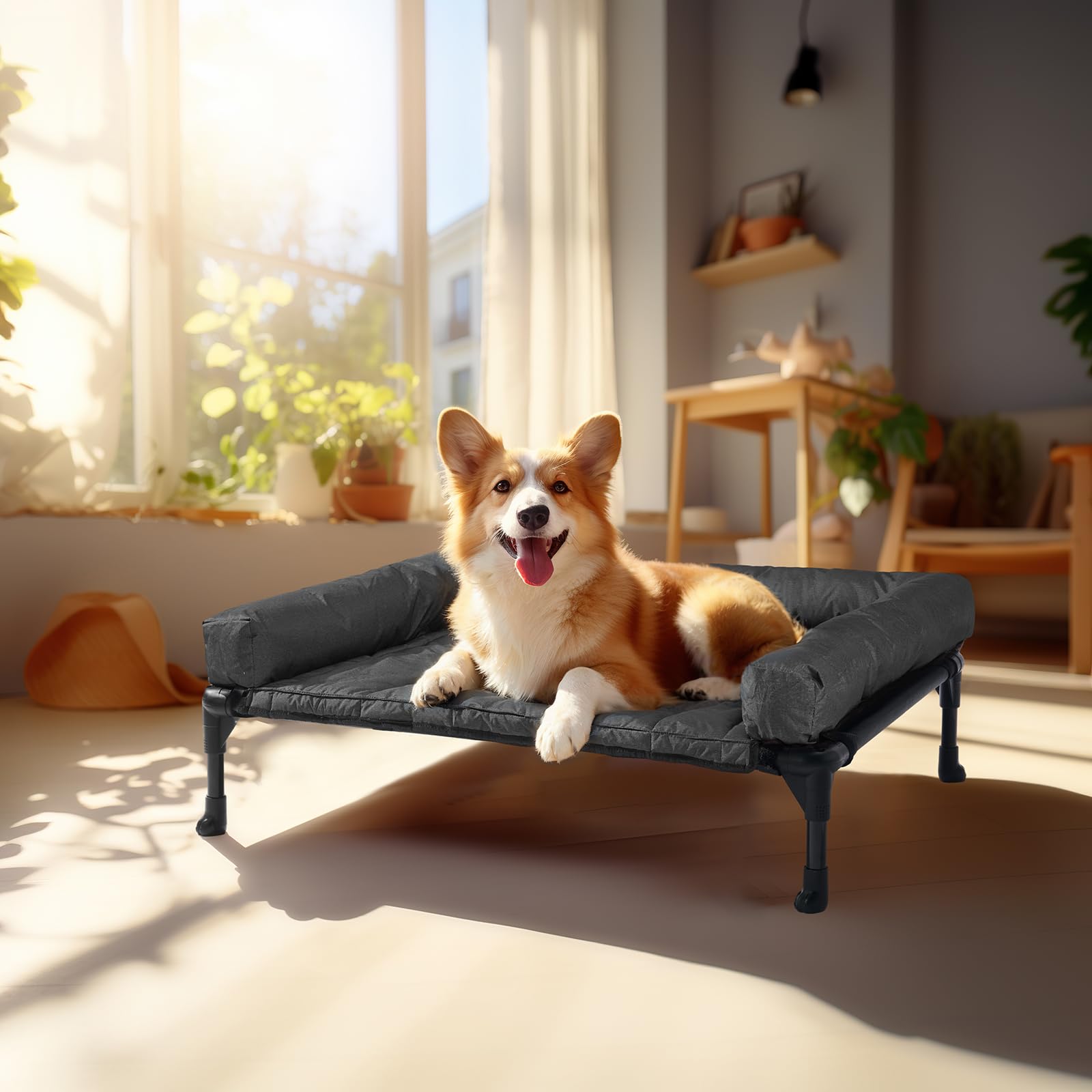 Utilisation intérieure et extérieure pour chiens actifs et confort.