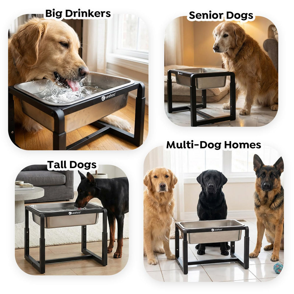 Utilisation intérieur/extérieur Veehoo, solution hydratation polyvalente pour chiens