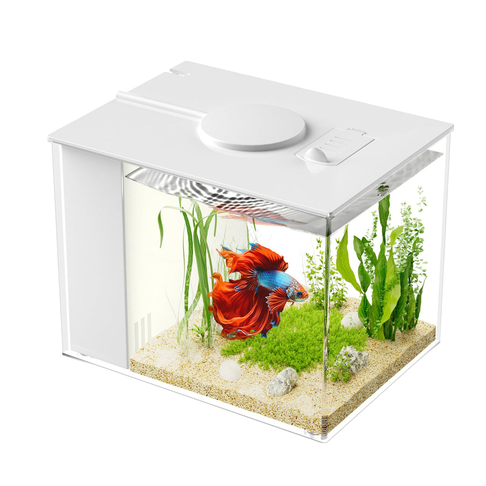 Vue de près du Vehipa aquarium 3-7l, parfait pour un bureau ou une étagère.