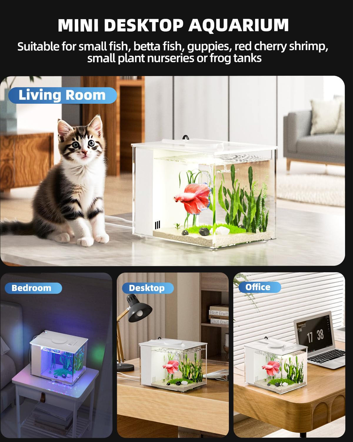 Aquarium Vehipa compact idéal pour les petits espaces.