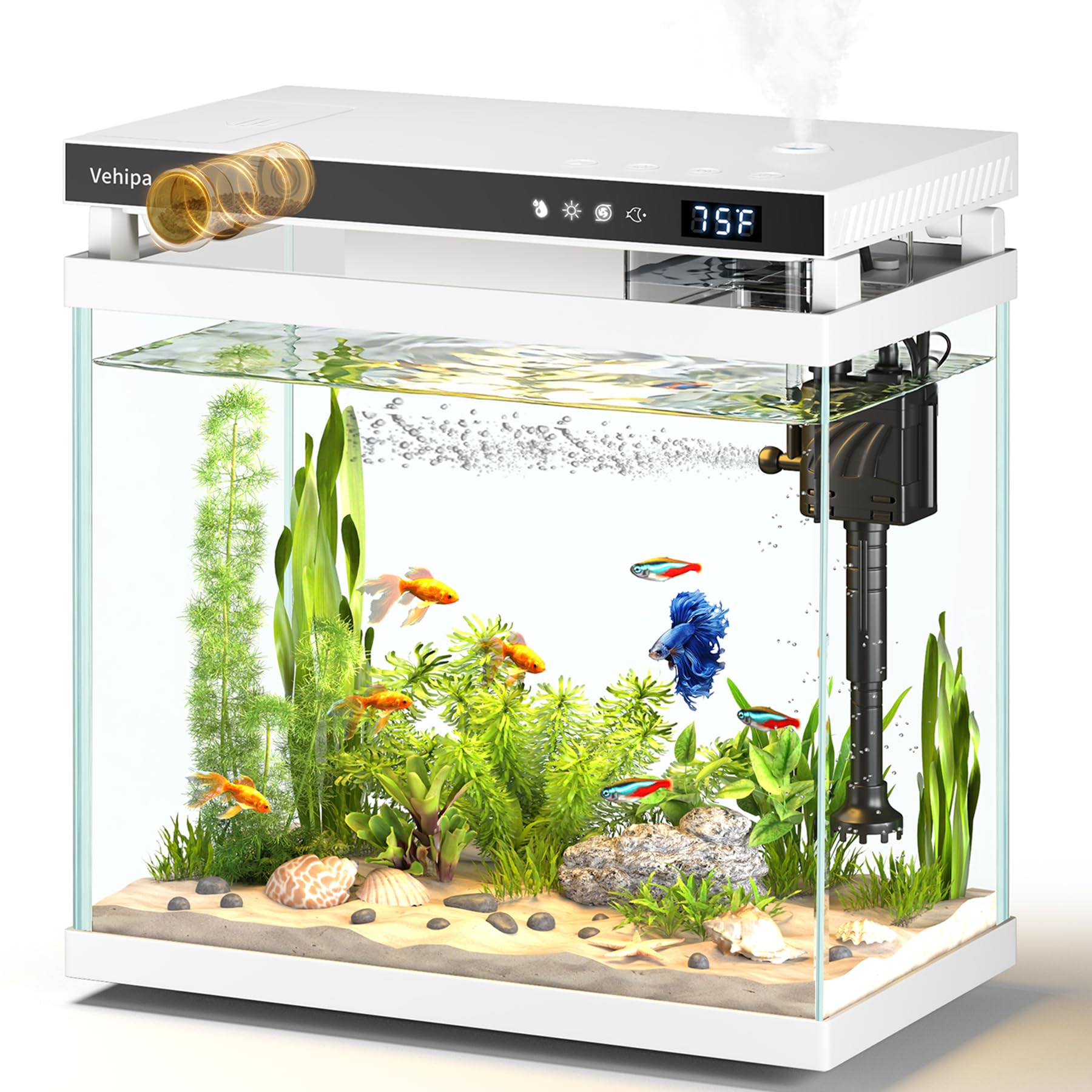 Vehipa aquarium 22 galons avec filtration 4-en-1 pour un habitat sain et clair