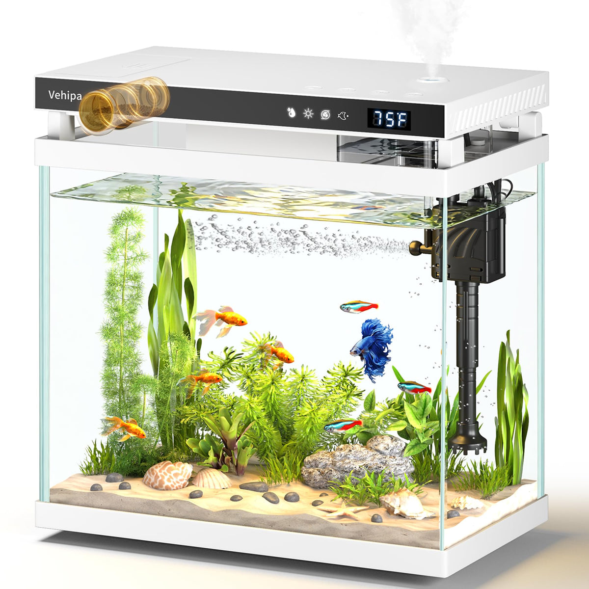 Vehipa aquarium 22 galons avec filtration 4-en-1 pour un habitat sain et clair