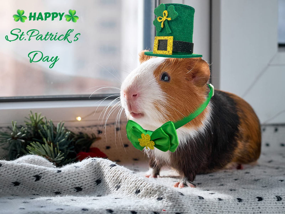 Vehomy decor Saint-Patrick petit animal, touche shamrock pour l'ambiance festive.