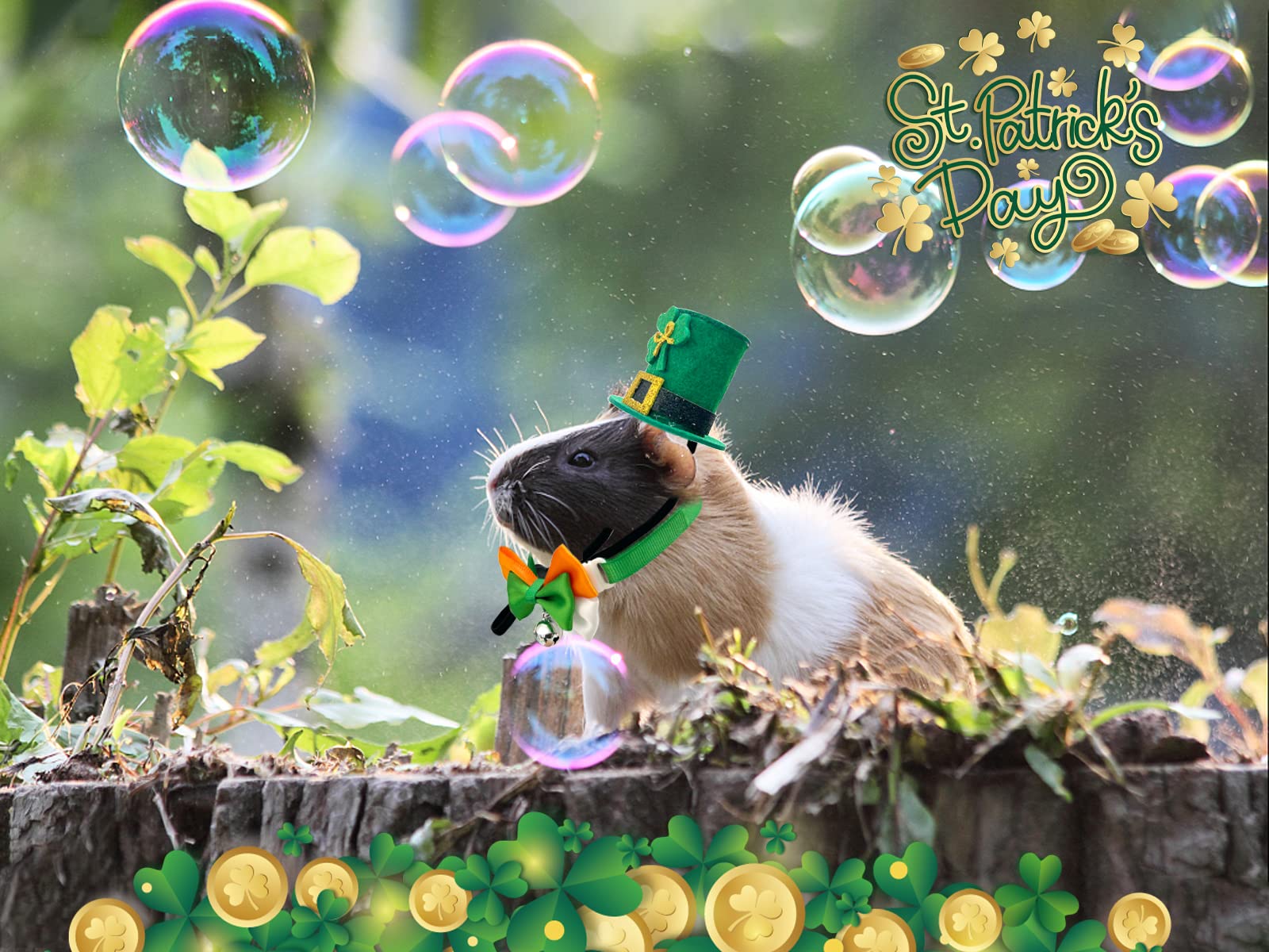 Vehomy ensemble Saint-Patrick petits animaux, look coordonné pour les fêtes et photos.