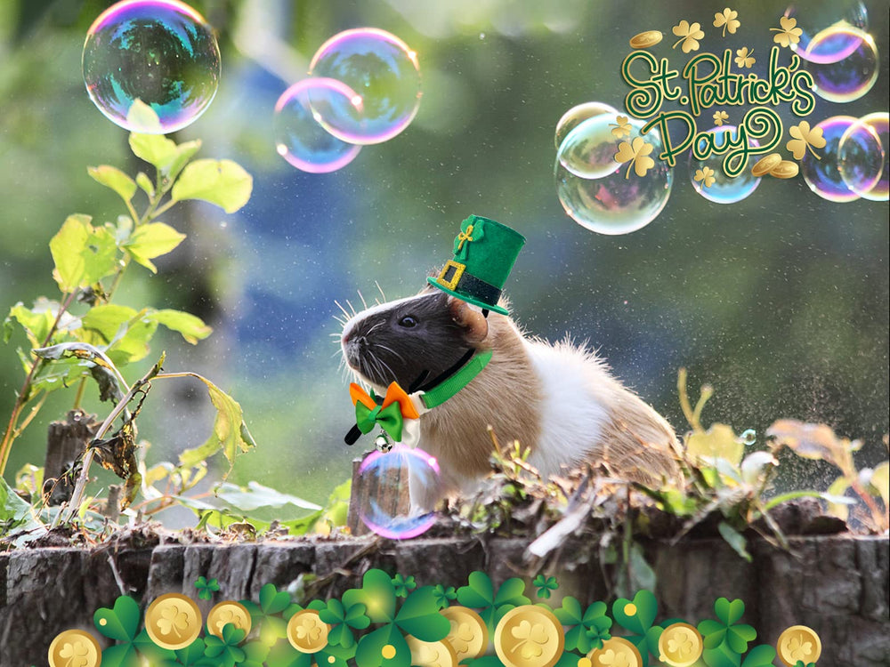 Vehomy ensemble Saint-Patrick petits animaux, look coordonné pour les fêtes et photos.
