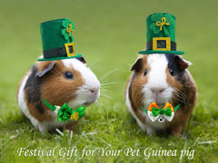 Vehomy fait-main Saint-Patrick petit animal, détails soignés et artisanaux.