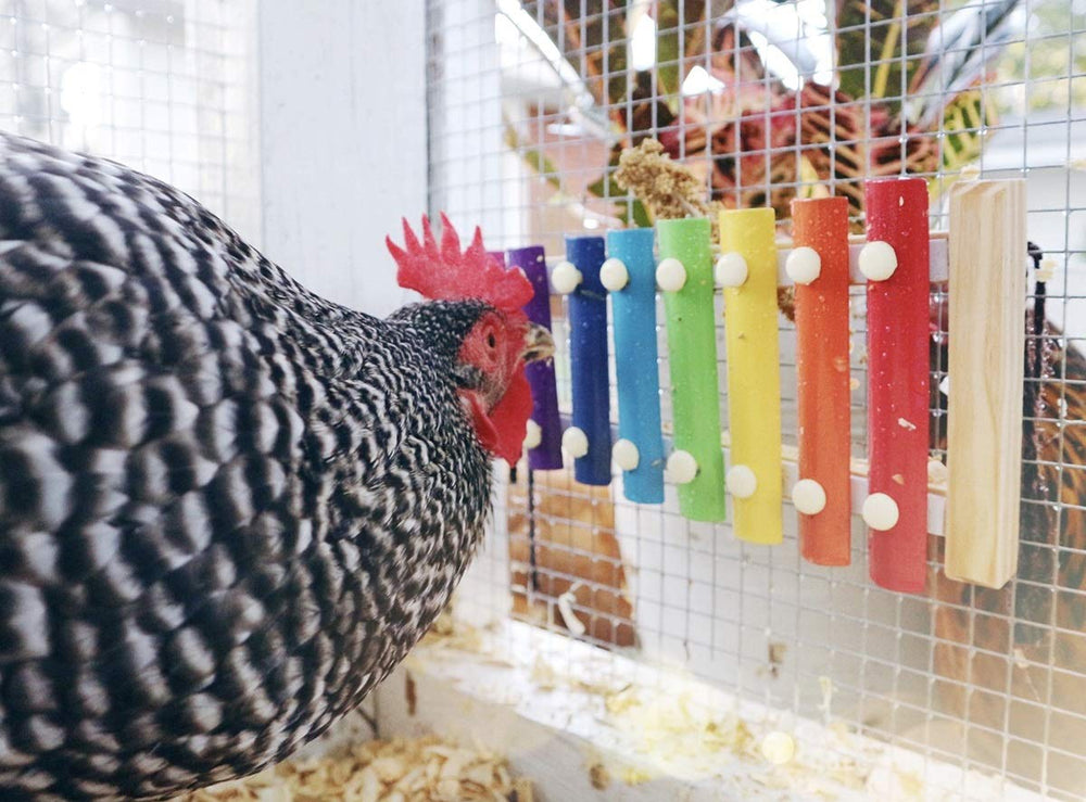 Vehomy xylophone poules jouet, idéal pour divertir les volailles dans le poulailler