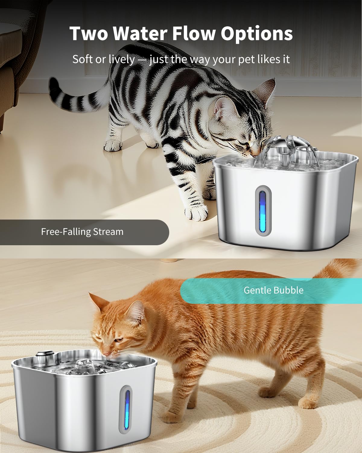 Capacité de 2,2 L adaptée aux foyers multi-animaux.
