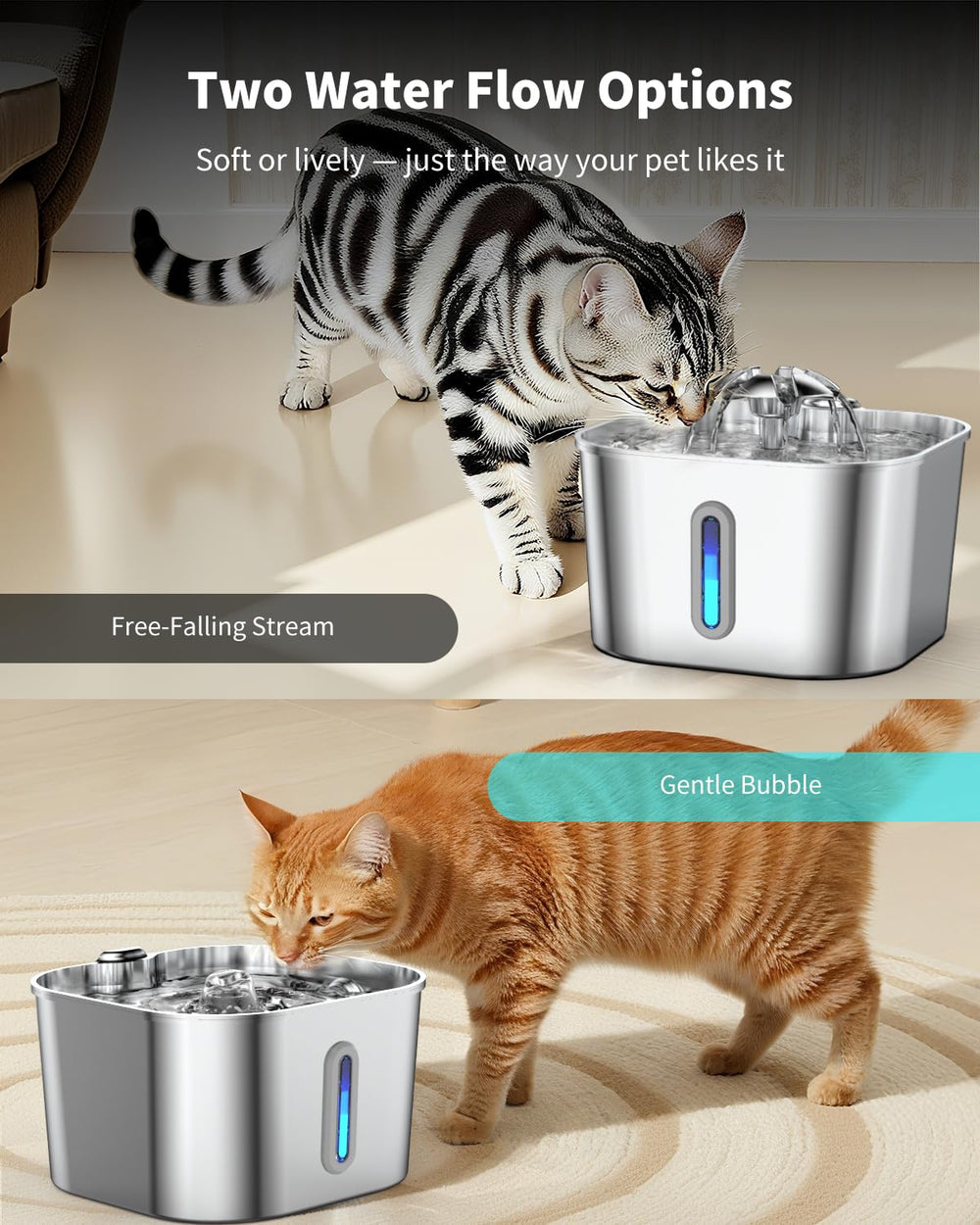 Capacité de 2,2 L adaptée aux foyers multi-animaux.