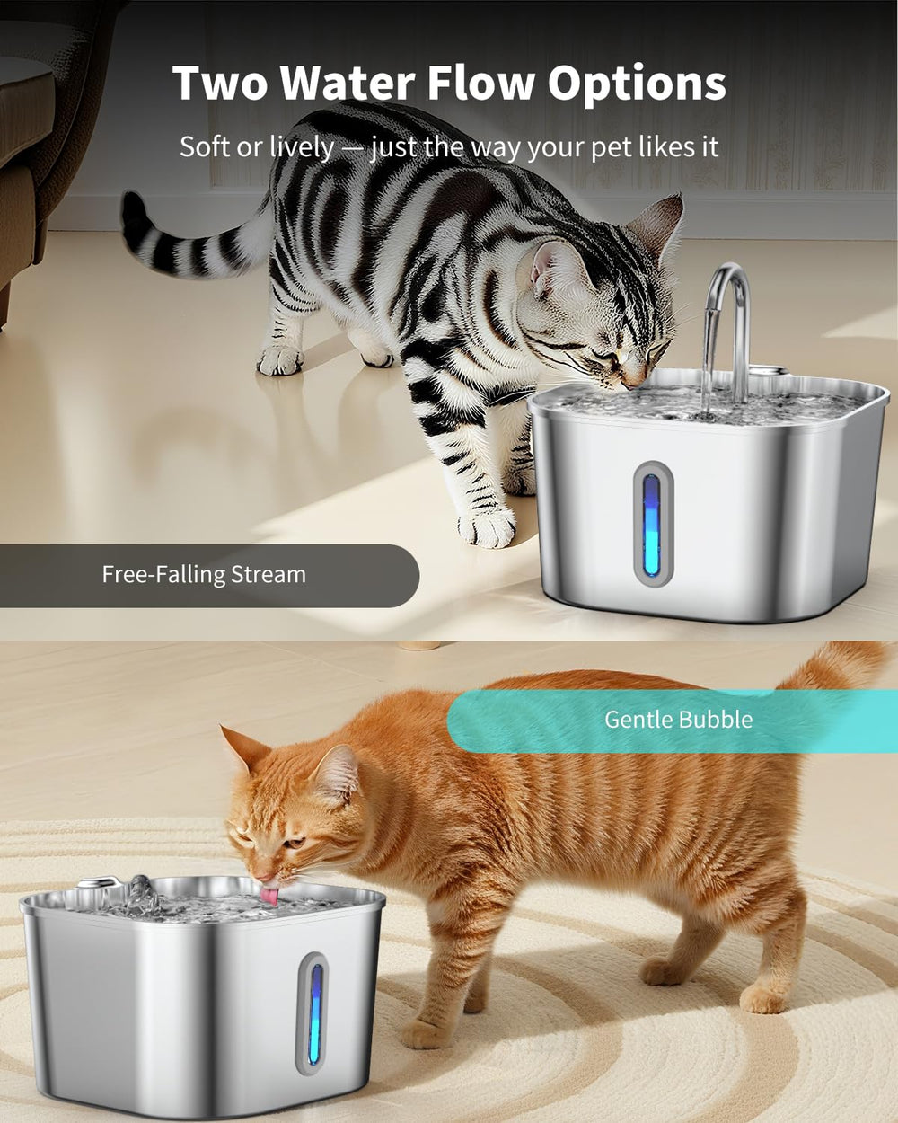 Utilisation multi animaux avec la fontaine Vekonn pour hydratation durable