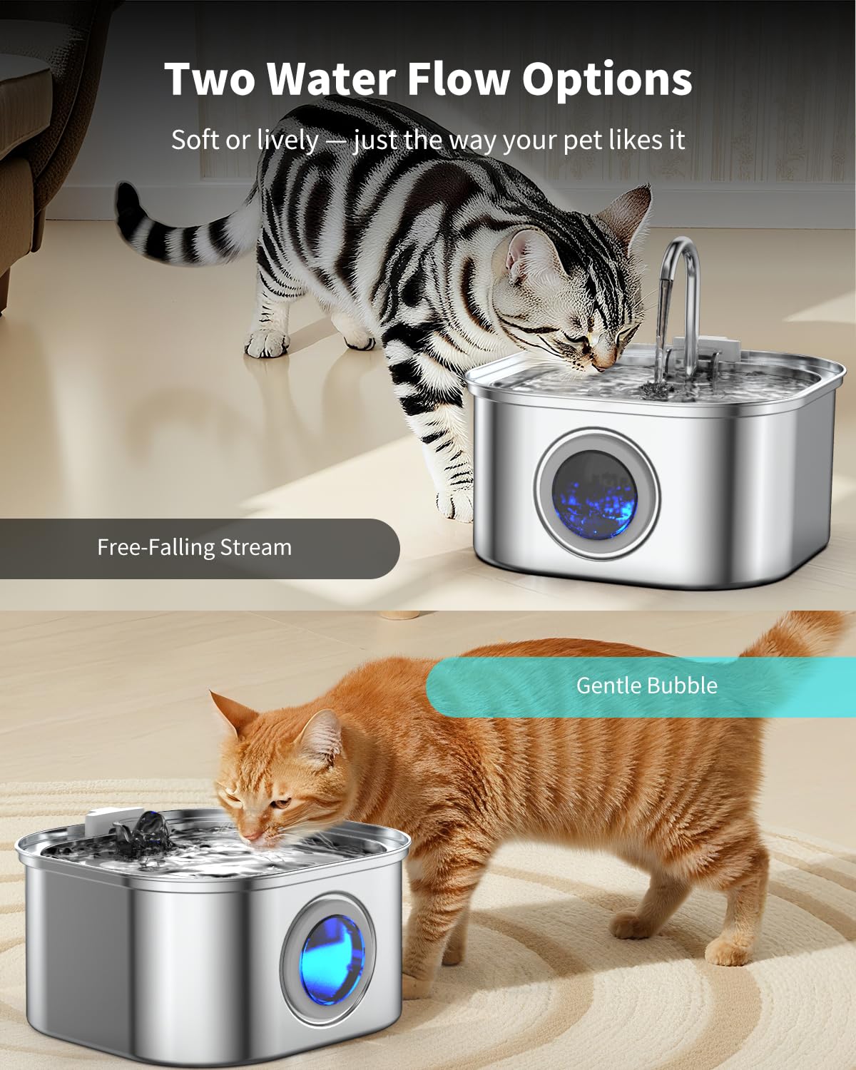 Vekonn fontaine adaptée aux foyers multi-animaux.