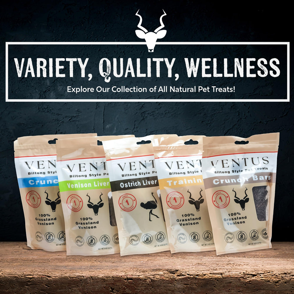 Ventus friandises fer zinc b vitamines: nutriments clés pour soutenir la vitalité.