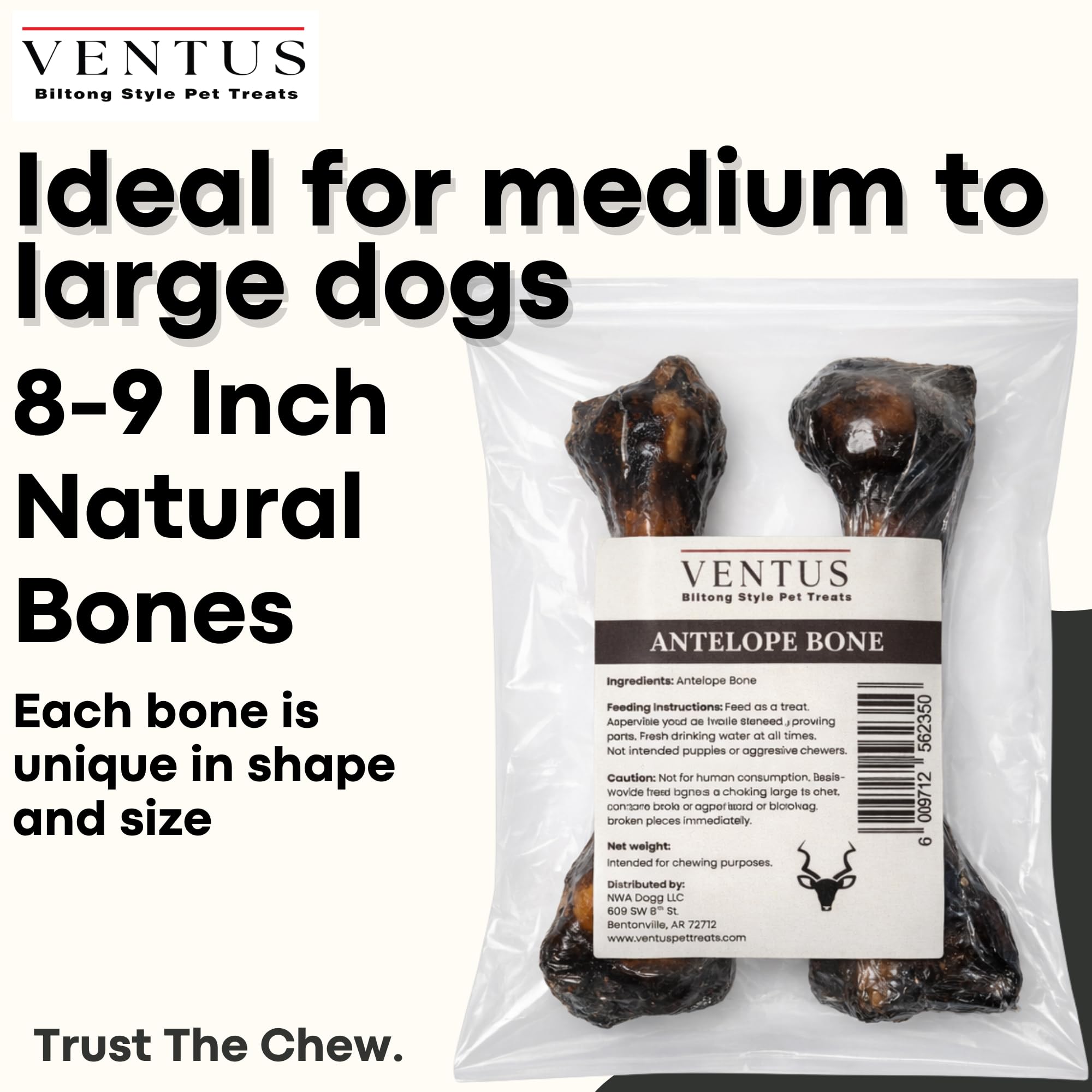 Ventus os d’antilope fumée, démonstration de mâchage prolongé pour chiens actifs.