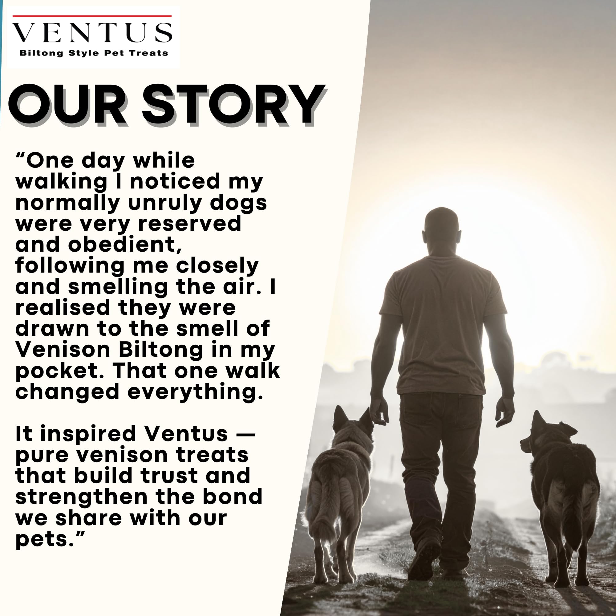 Ventus os d’antilope fumée, friandise durable pour chiens actifs et gourmands.