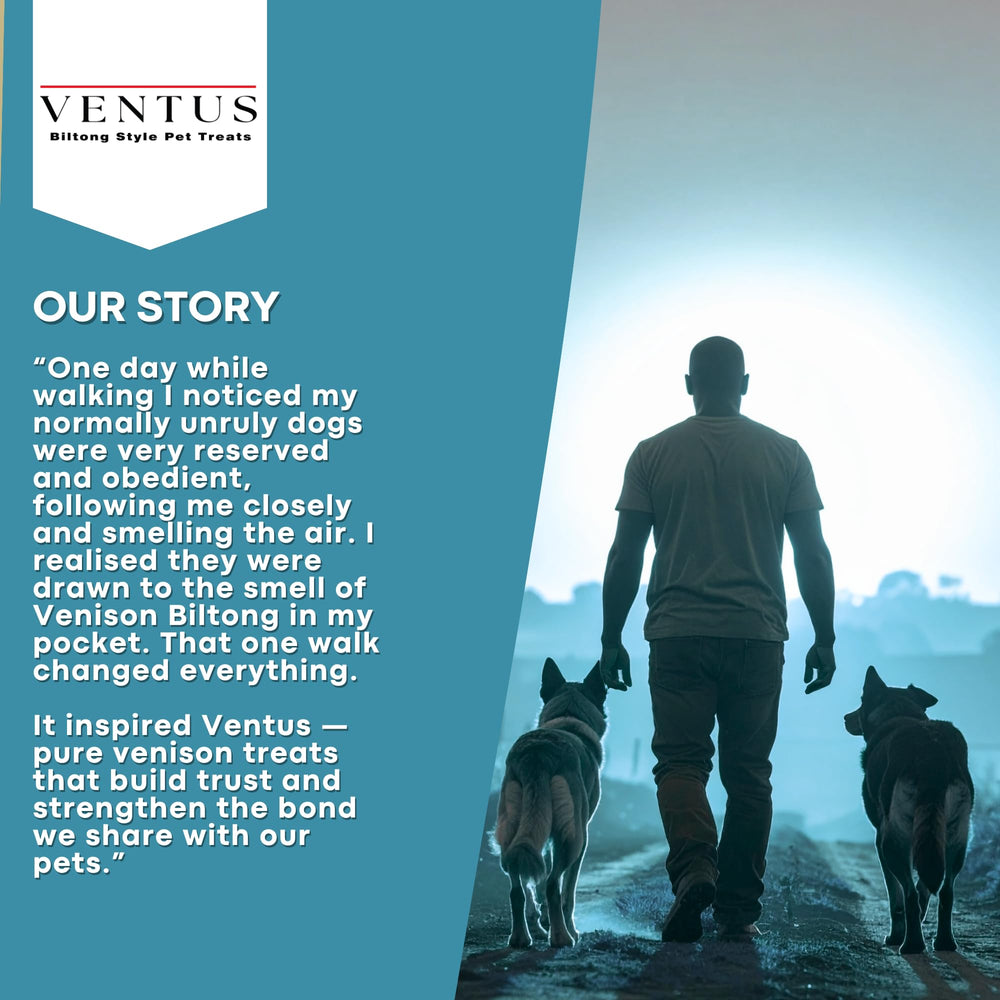 Ventus soutient l'immunité du chien grâce à la venaison et nutriments.