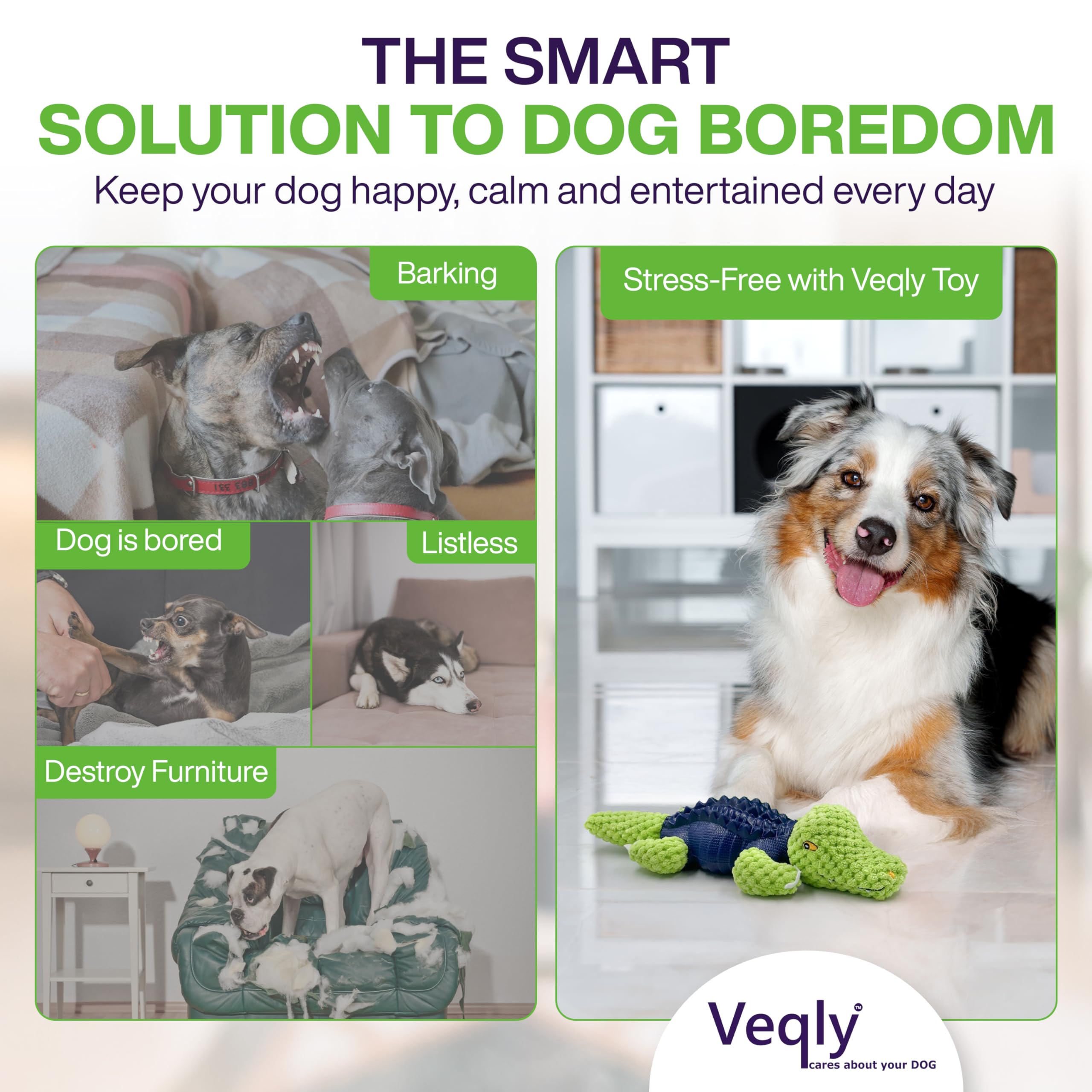 Veqly jouet anniversaire chien verte, cadeau festif et durable.