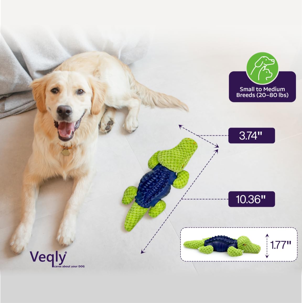 Veqly jouet puzzle avec compartiment récompense pour chien curieux.