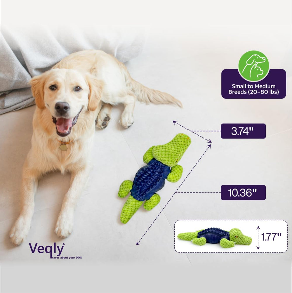 Veqly jouet puzzle avec compartiment récompense pour chien curieux.