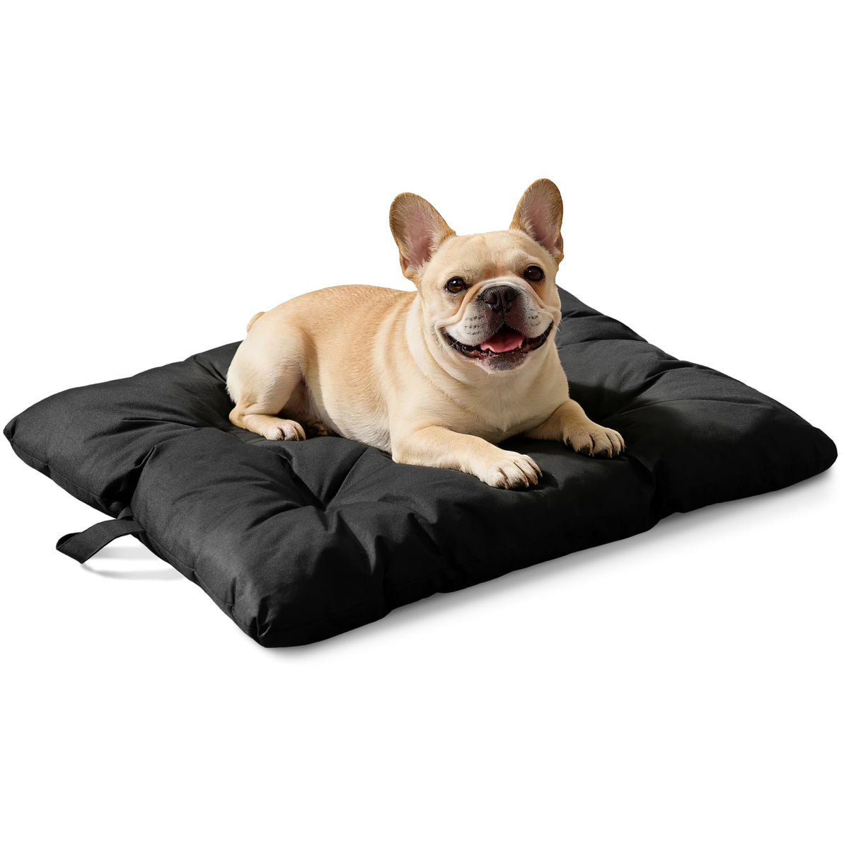 VERABE lit-chien résistance-mâchouage 35x22, idéal pour chiens moyens et morsure persistante.