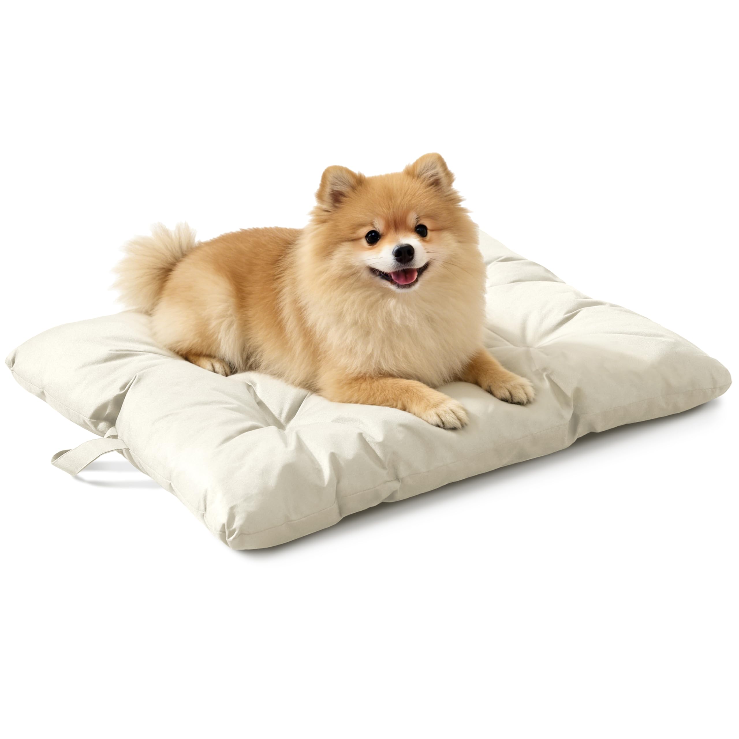 VERABE lit-chien-resistance-mordure-beige-29x18: lit robuste pour chiens courageux.