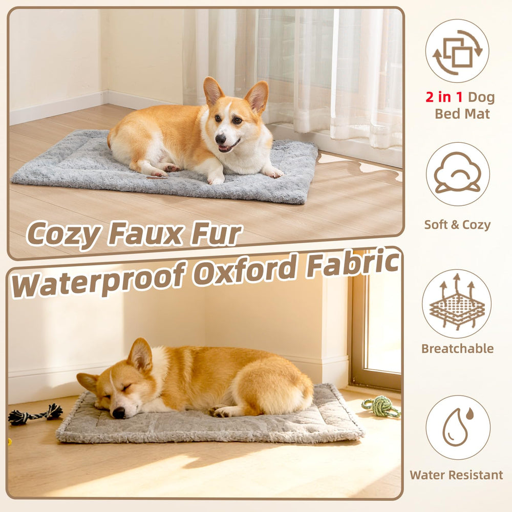 VERABE face Oxford respirante, été frais pour chien.