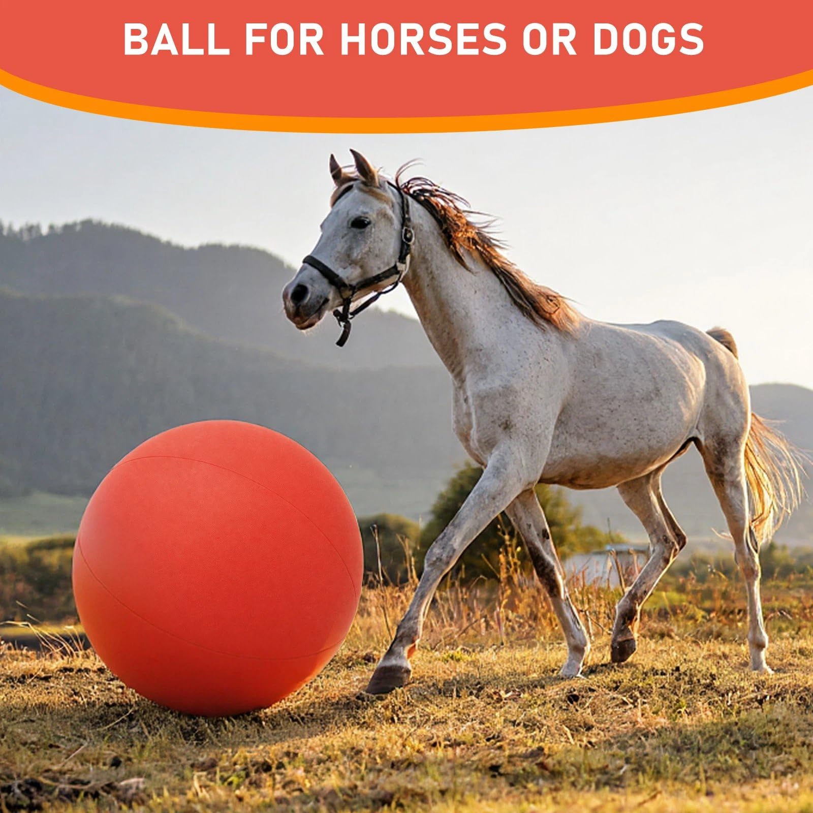 Couleurs contrastées améliorant la visibilité du cheval lors des sessions.