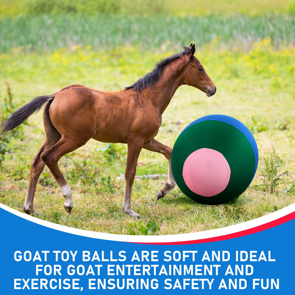 Installation guidée pour l'entraînement cheval, utilisation simple et efficace.