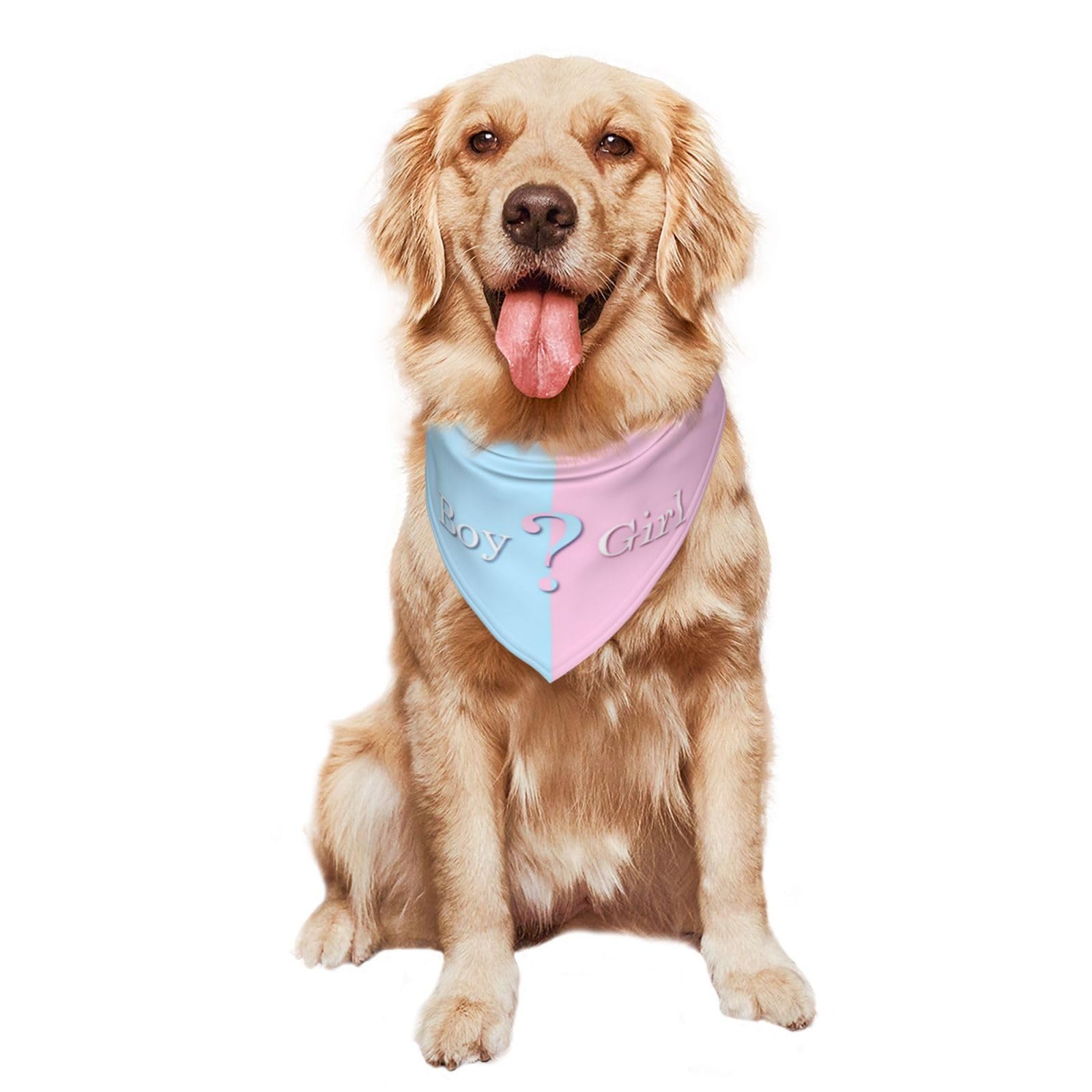 Vercosee bandana bleu ambiance quotidienne, style doux et tendance.