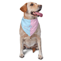 Vercosee bandana chien bleu en avant, accessoire élégant pour photos nettes et mémorables.