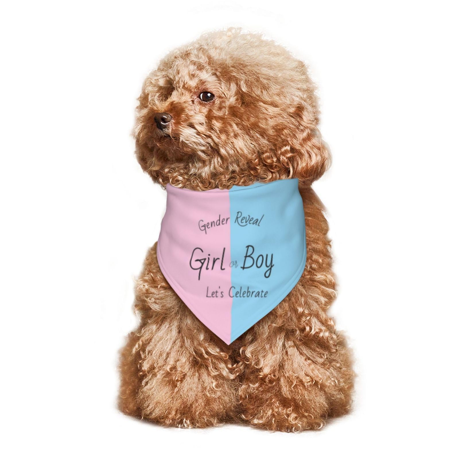 Entretien facile Vercosee bandana chien, lavage simple