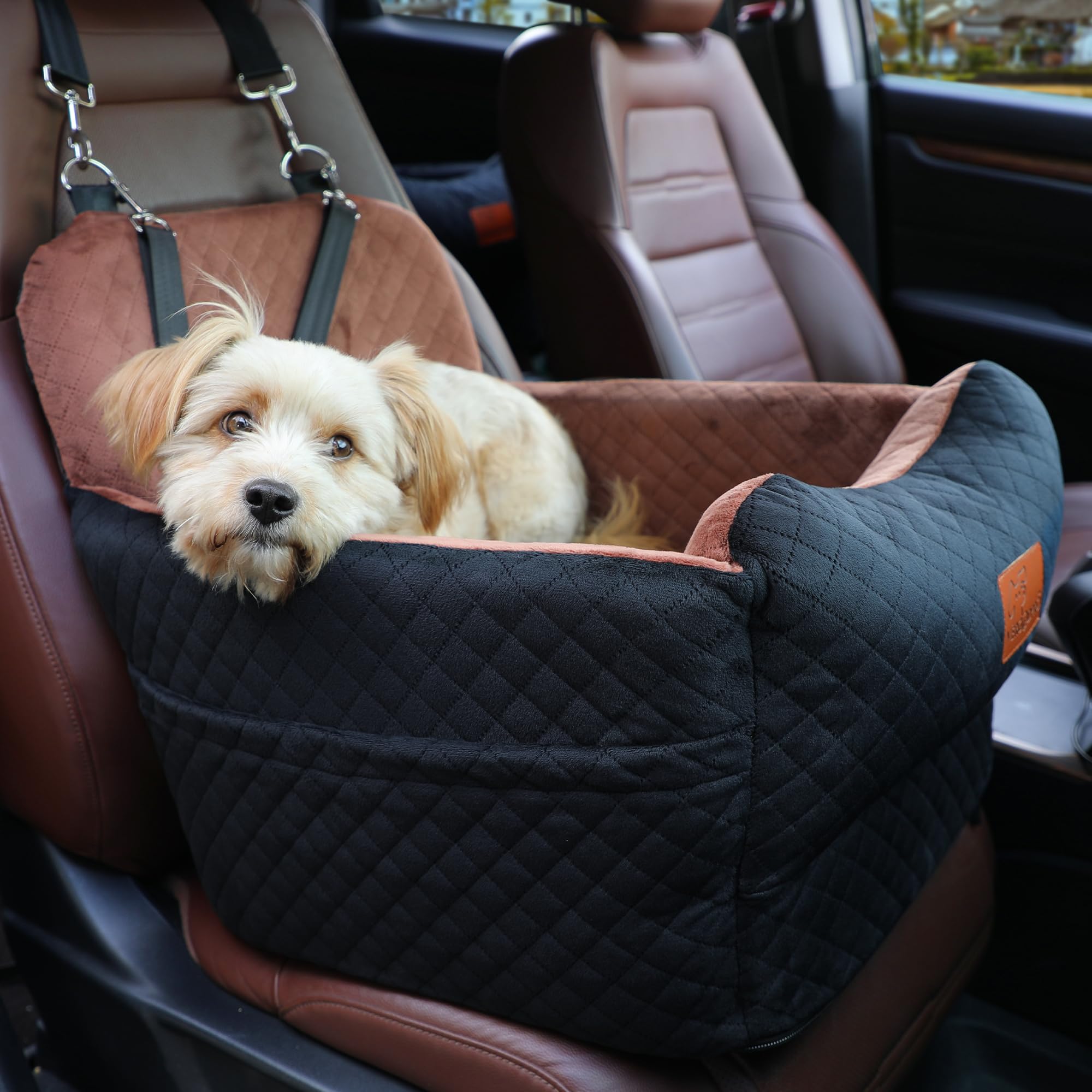 VERGODPRO booster chien avec dossier rembourré pour plus de confort.