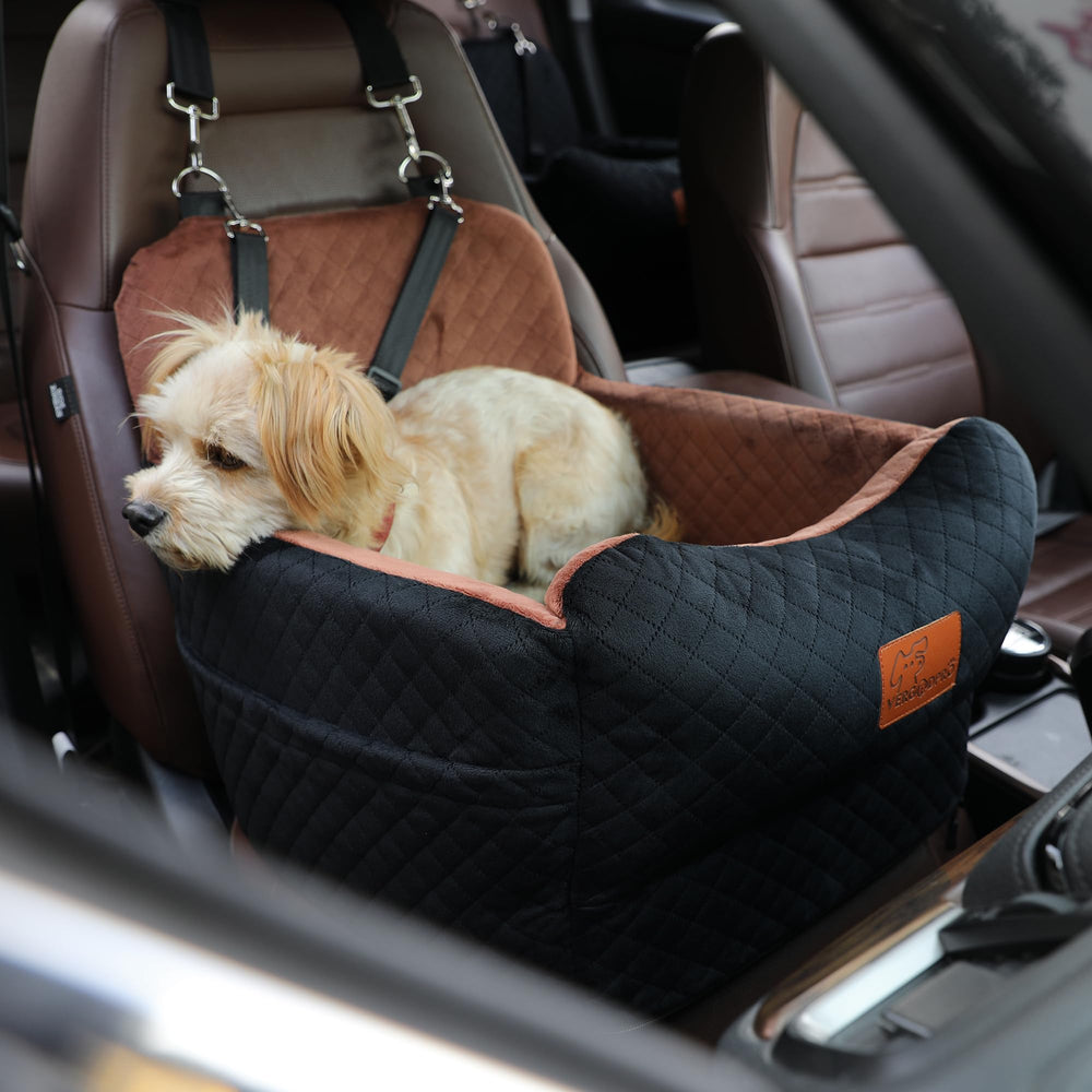 VERGODPRO permet au chien de regarder par la fenêtre pendant le trajet.