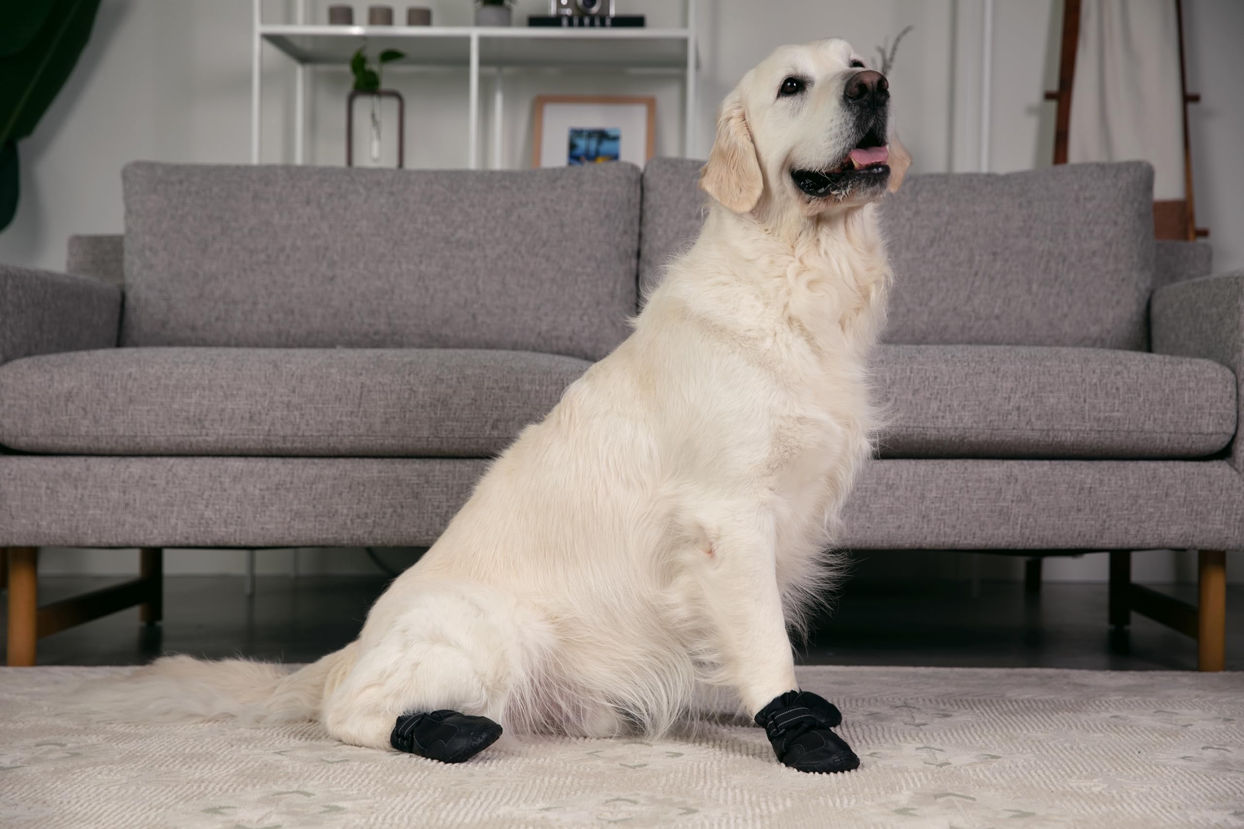 Chaussures Versa Vine anti-glisse améliorent l’adhérence sur surfaces mouillées