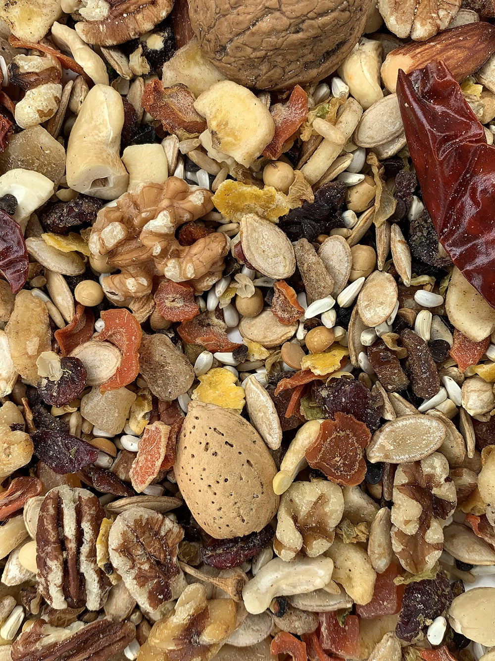 VL Goldenfeast Amazon Blend ingrédients variés visibles pour oiseaux en bonne santé