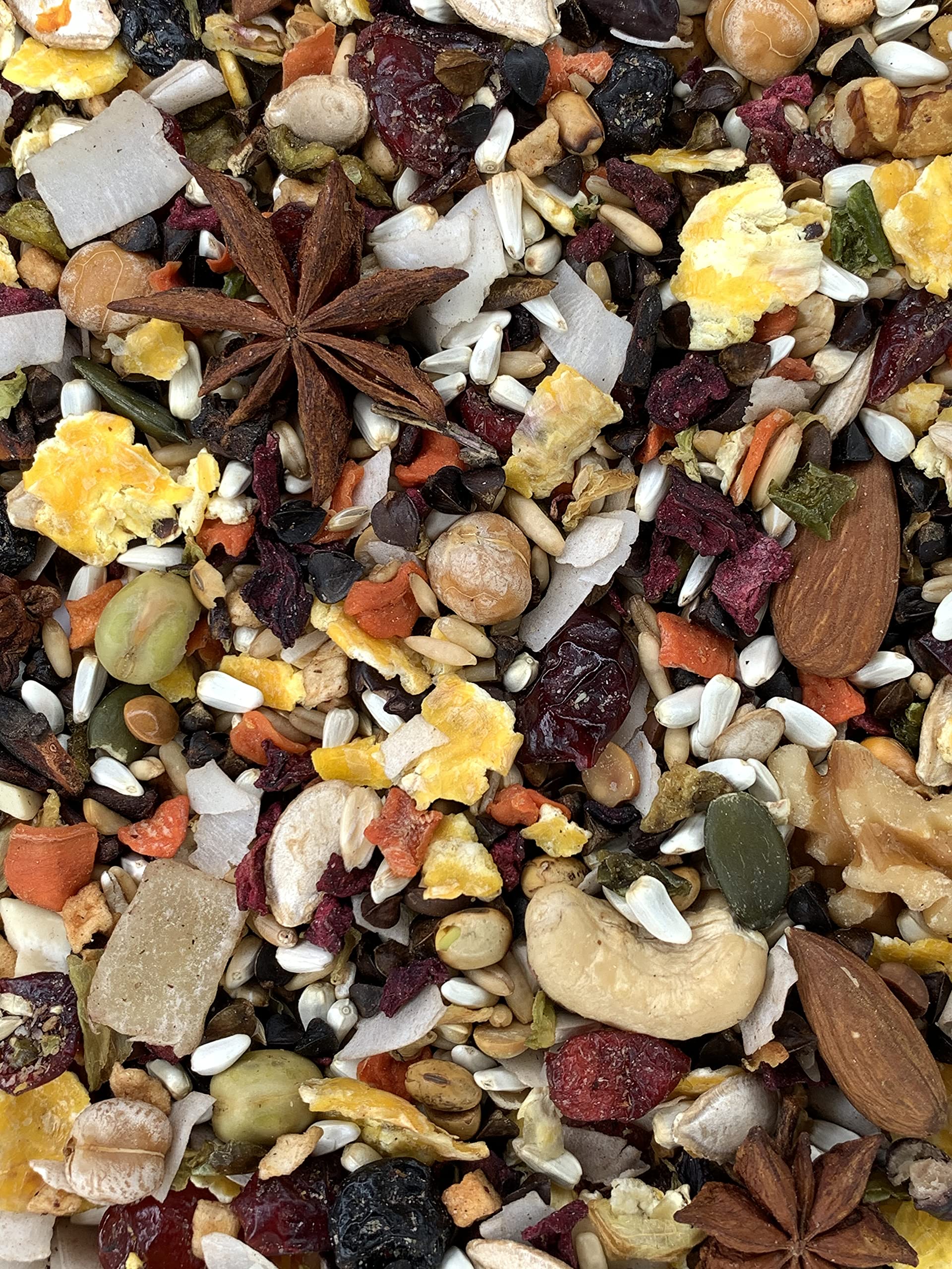 Versele-Laga Goldenfeast Amérique centrale bol de service, idéal pour explorer l'alimentation.
