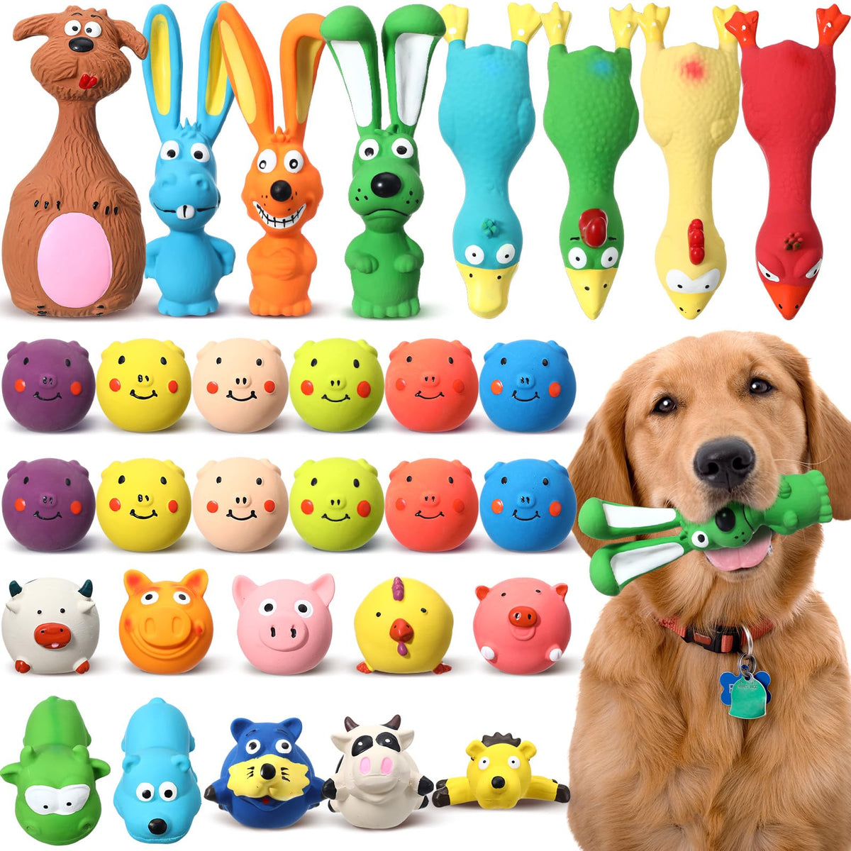vertintong cochon sifflant: divertissant et durable pour chien