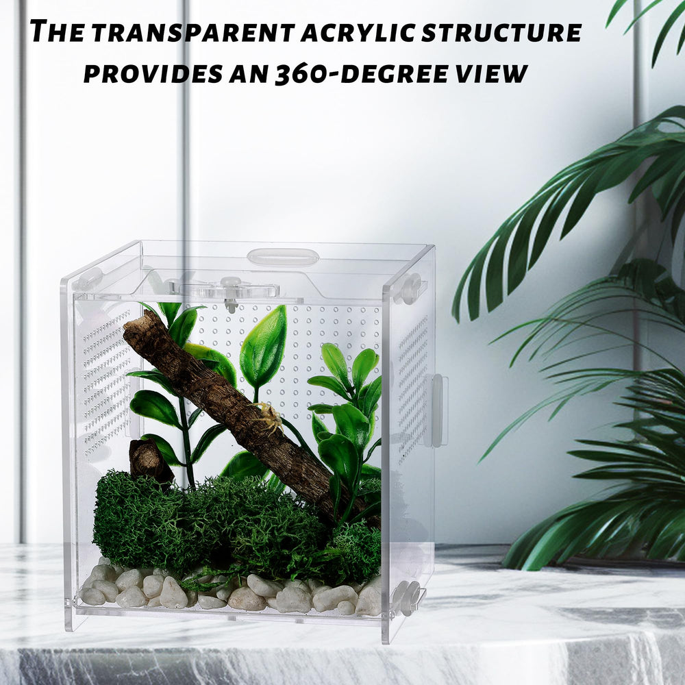 VERTUPET Habitat polyvalent pour insectes et petits reptiles.