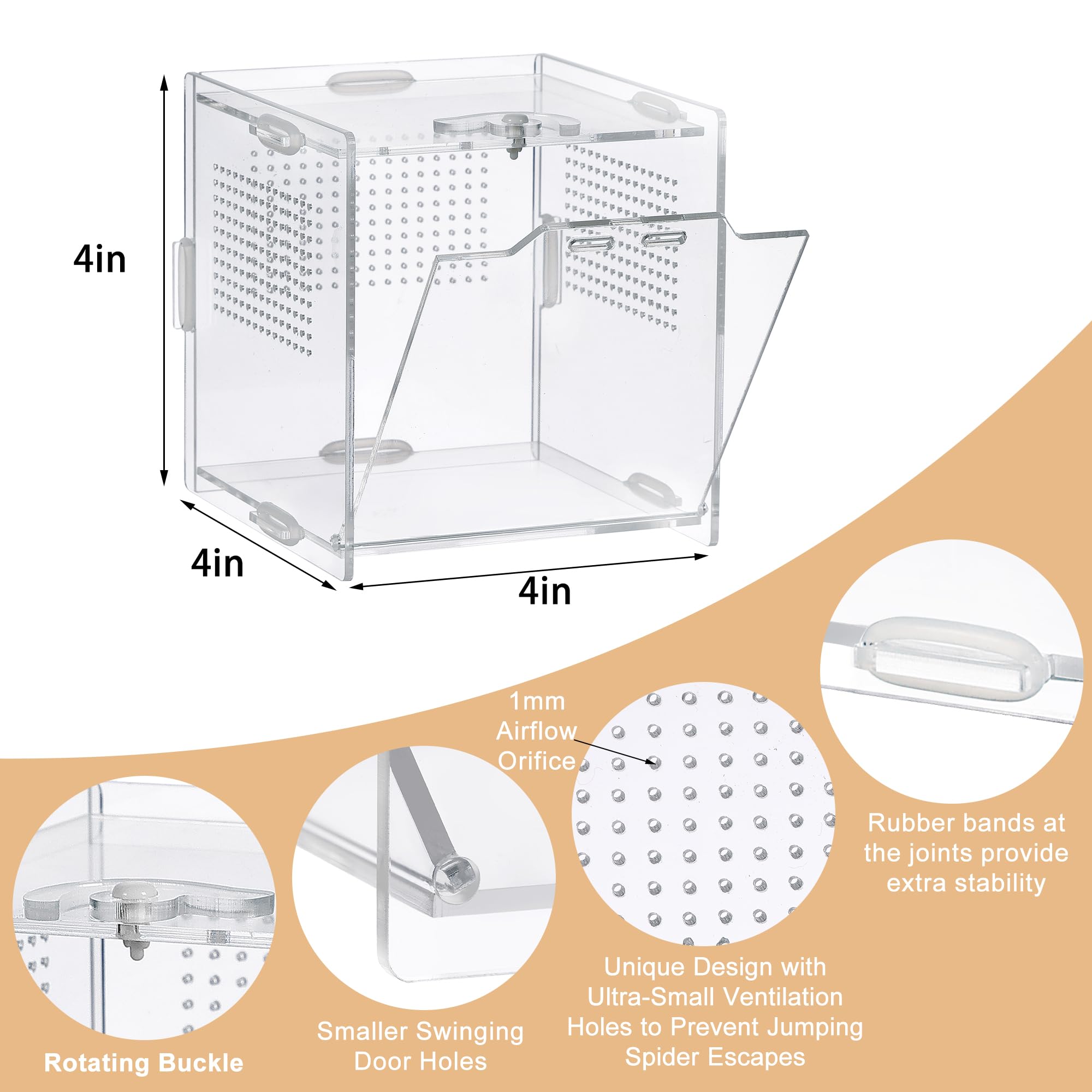 VERTUPET Kit accessoires terrarium prêt à assembler pour démarrage rapide.