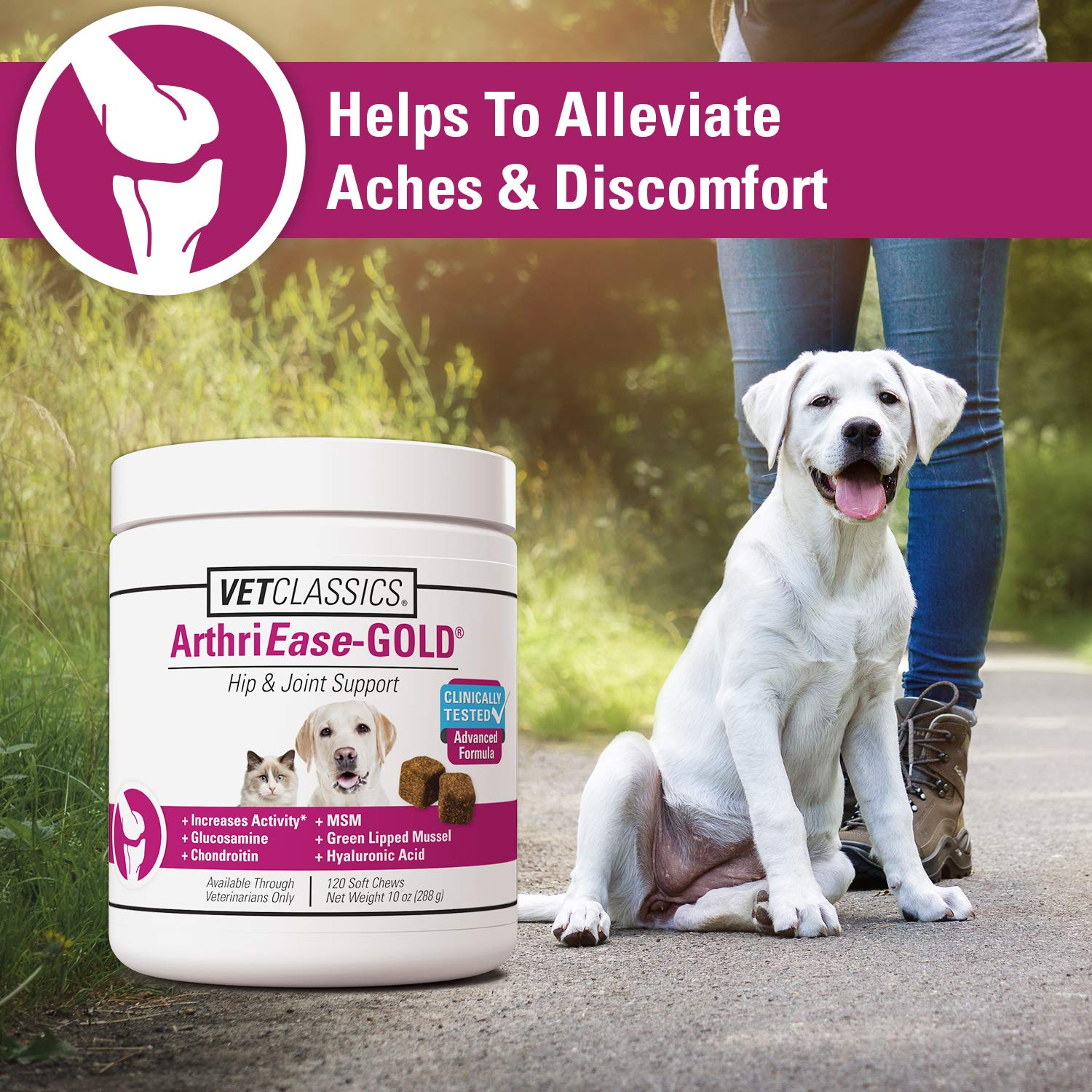 Vet Classics ArthriEASE-Gold - Friandises molles: administration facile pour chiens et chats.
